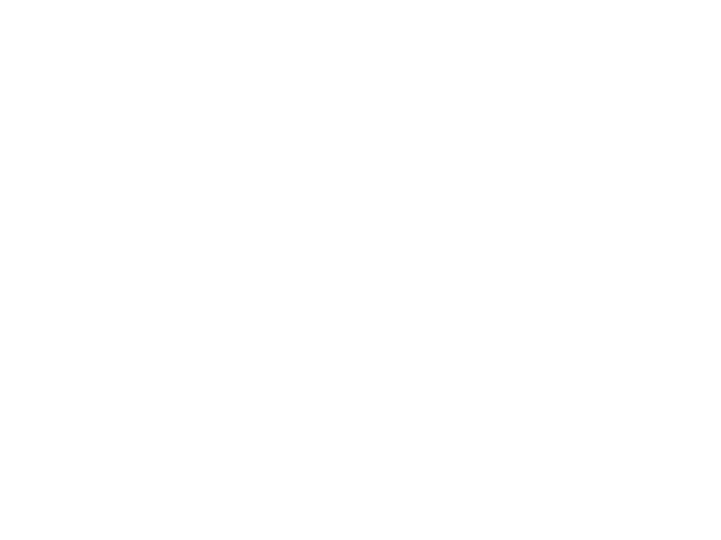 ringfeder